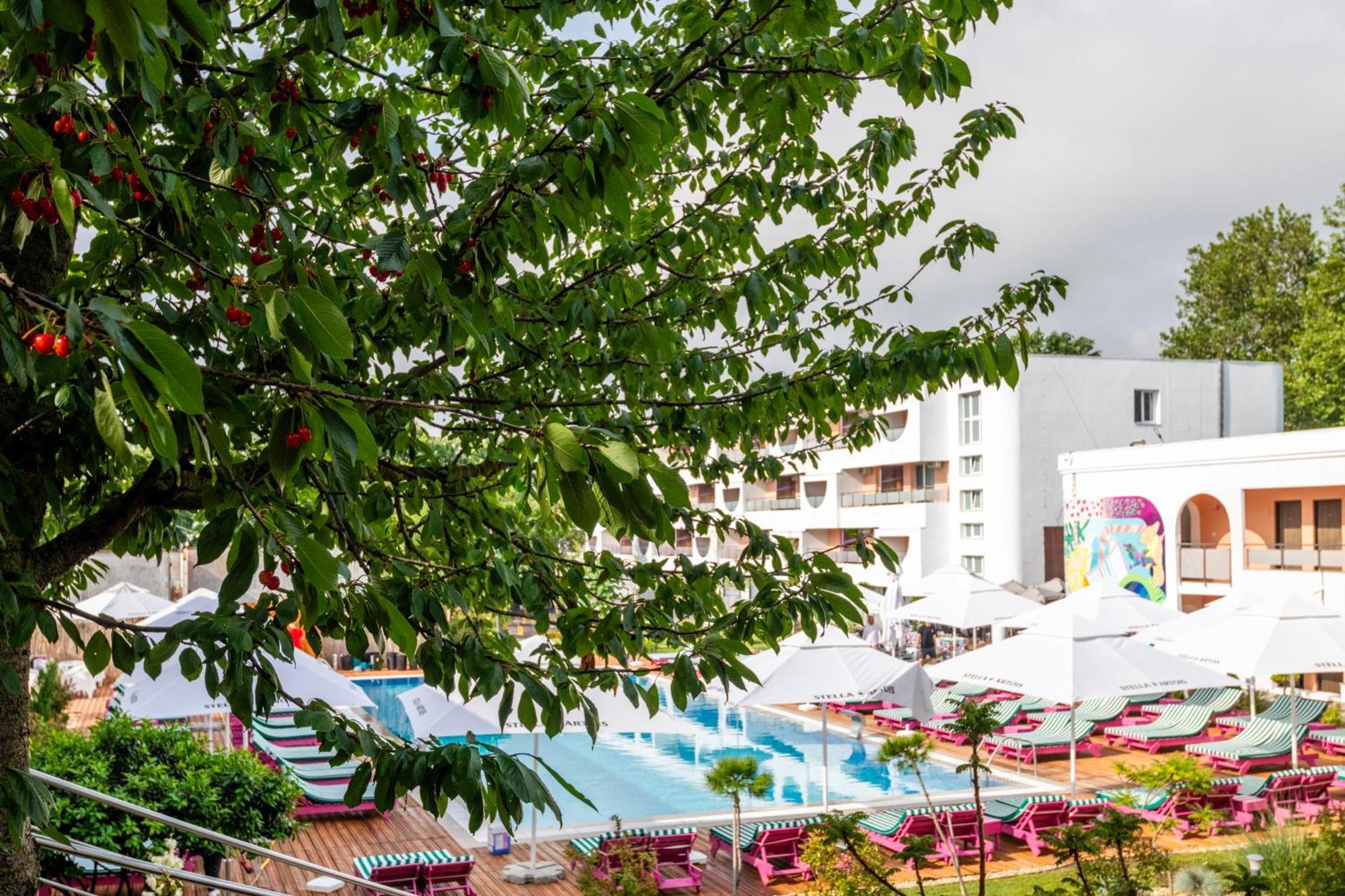 Ibis Styles 4* Venus